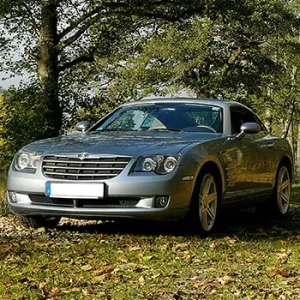 Silver sports car parked under trees